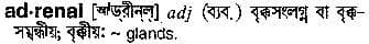 adrenal