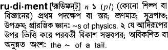 rudiment