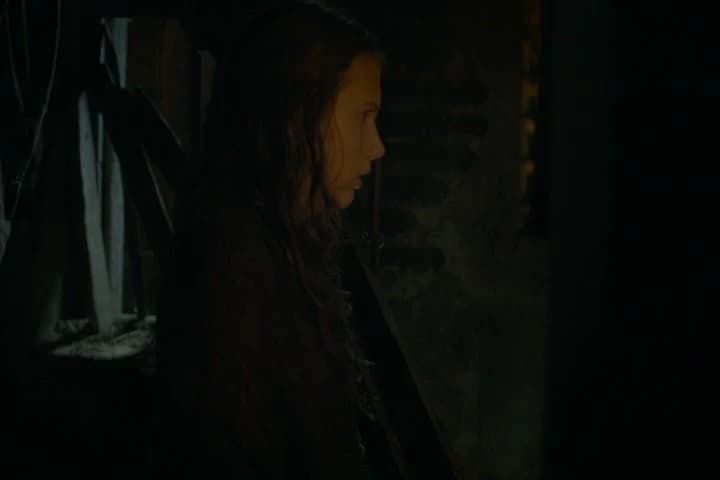 Little wildling bitch.