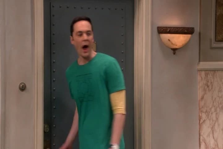 Sheldon, that was really rude.