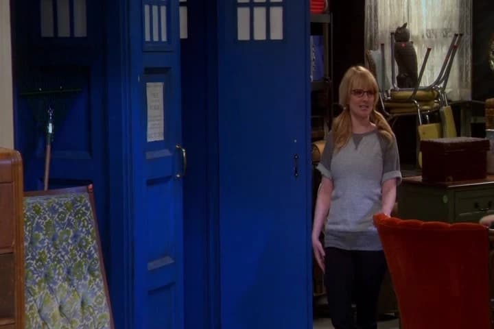 ...it would be like your entire apartment
was the inside of the TARDIS.